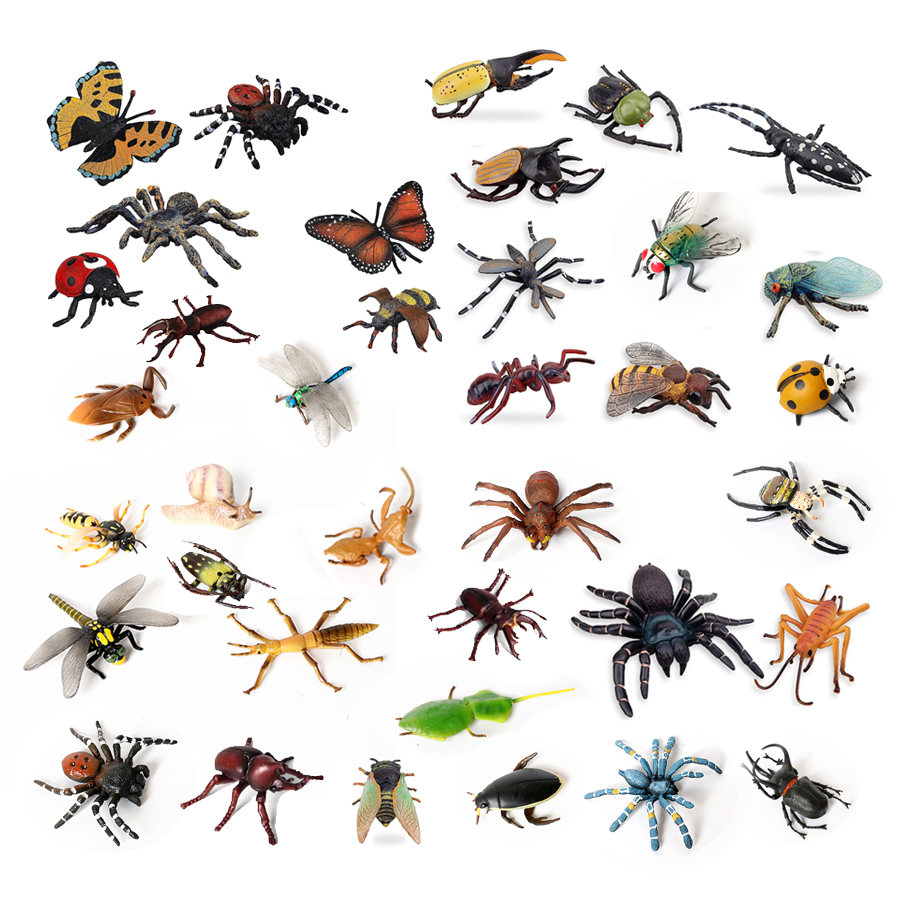 Home Decor Humacao - Cicada kriket Scarab arı karınca örümcek