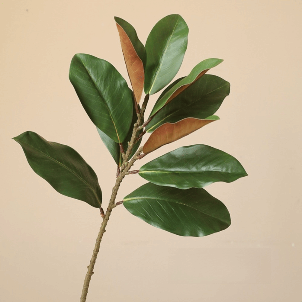 Artificial Hanging Plants - 57 cm Yapay Manolya Yaprakları Kauçuk