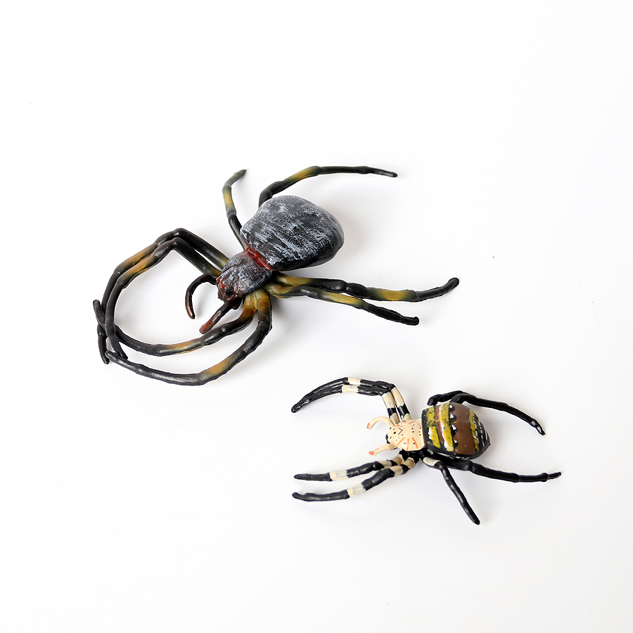 Cicada kriket Scarab arı karın - Home Decor Humacao incelemesi ve fiyatı