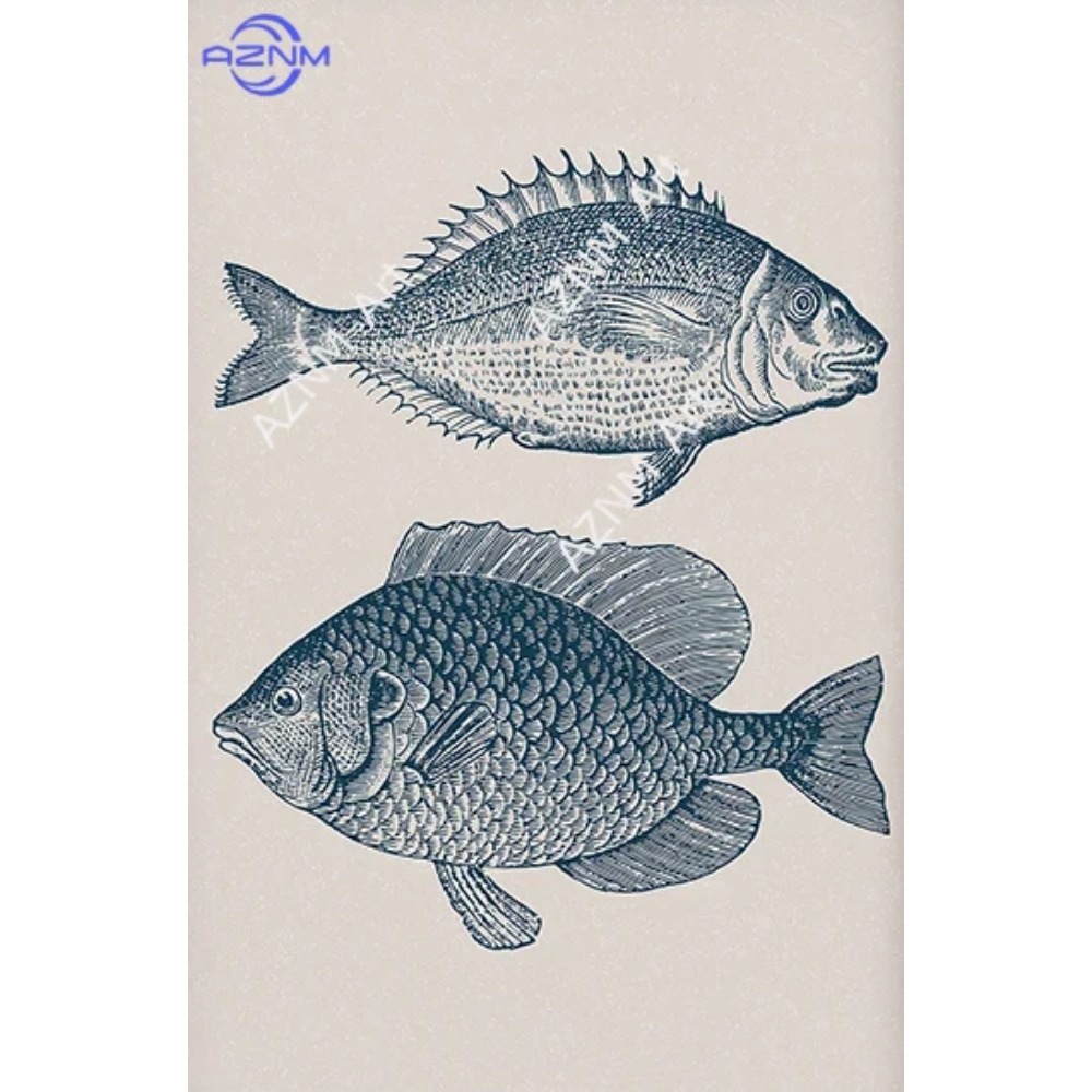 1/6 adet Mavi Serisi Deniz Biy - Home Decor Trends incelemesi ve fiyatı